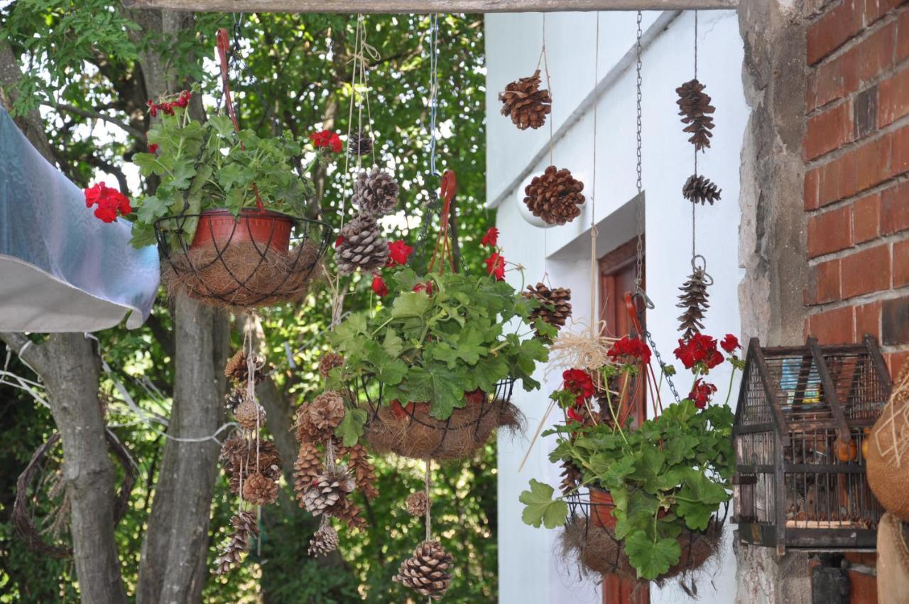 Vila Lena Meduvrsje Exterior foto