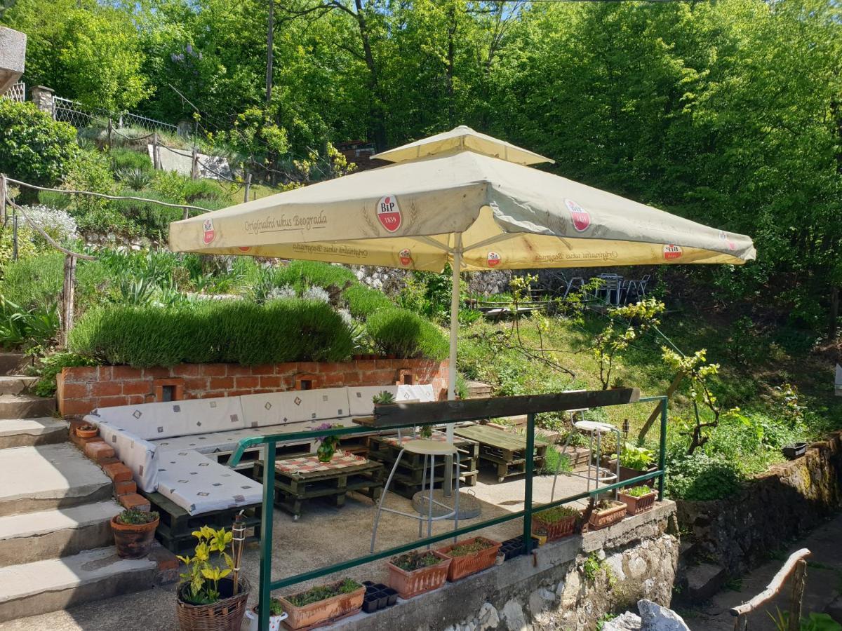 Vila Lena Meduvrsje Exterior foto