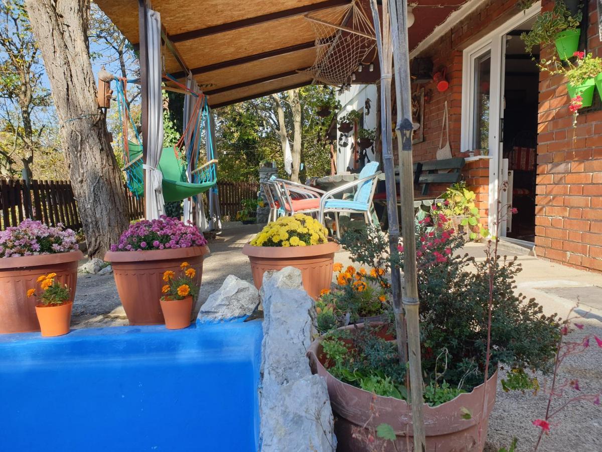 Vila Lena Meduvrsje Exterior foto